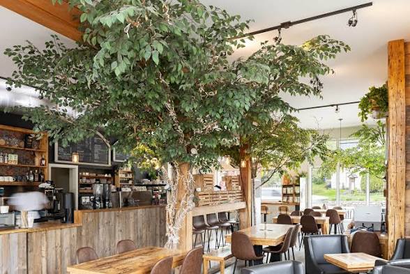 Mickey’s Café interior with an indoor tree and café counter