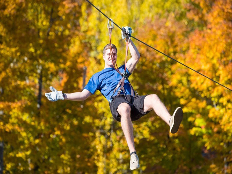 Treetop Zipline Adventure