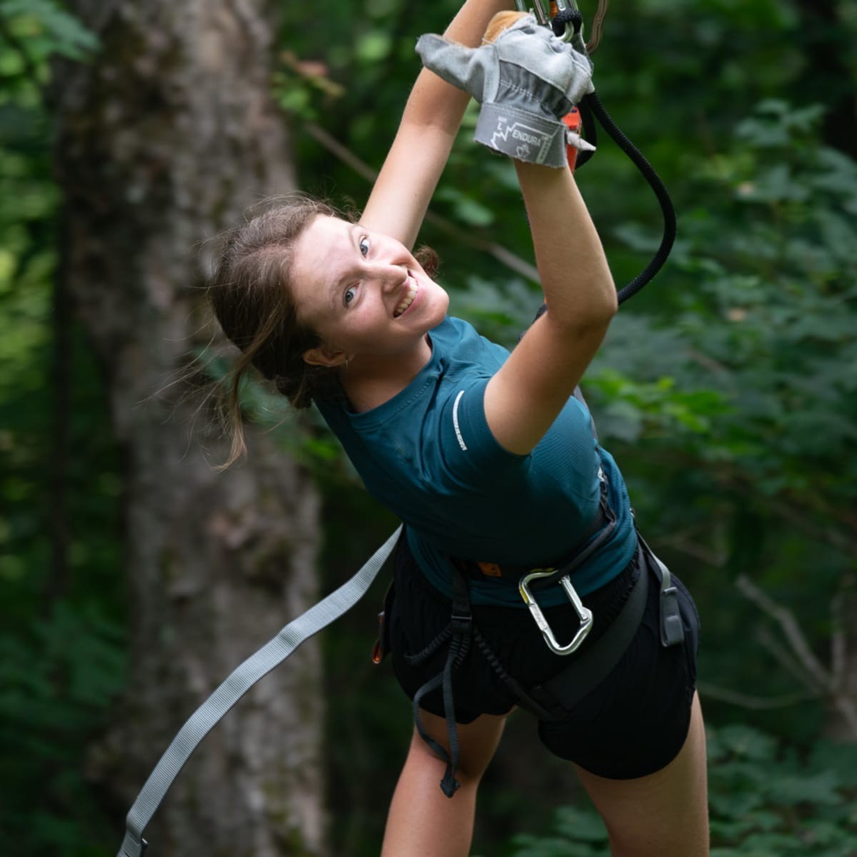 Forest Zipline Adventure