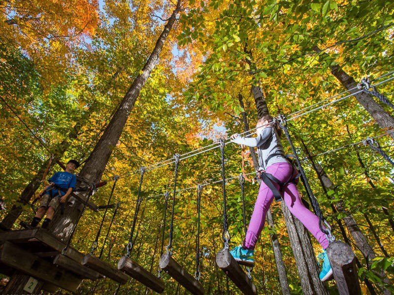 Forest Canopy Rope Course Adventure