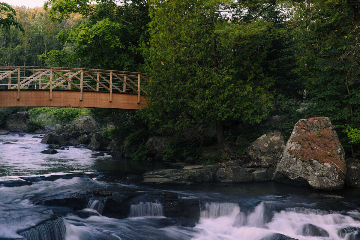 The river and footbridge in summer